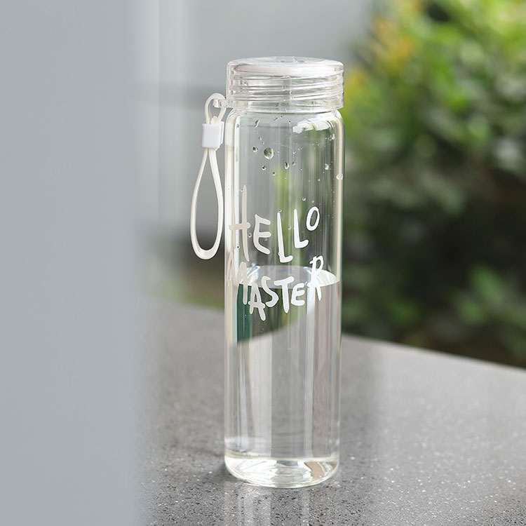 Wholesale custom  450ML Glass water bottle Drinkware 2