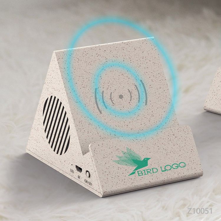 Wholesale custom  Wireless Charging Bluetooth Speaker Charging Cables 2